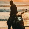 lionheart190