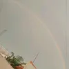 pegokatia95