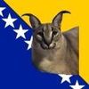 amar_dulovic
