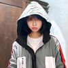 hansa_desta17