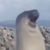 thememestone