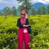 rif_fa29