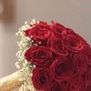 loly20lo