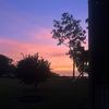 amelia_slack3
