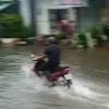 hmgiangg