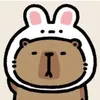 snowi055