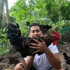 bomberongfarmer