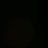 bechara674