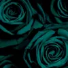 hanahana_011