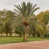 leen98123