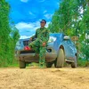 ngocduongnb