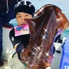 烏賊昌