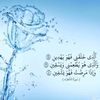 sawsan_113