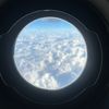 safy_030