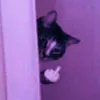 mxrie_hd