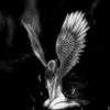 graveyard.angel