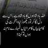 sheikhsajid000