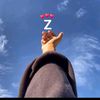 zoba8109886530778