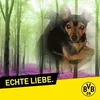 hundepapa7