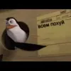 xabibullaev_asa