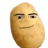 t_tiy99