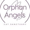 Orphan Angels Cat Sanctuary
