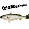 elkchema