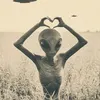 ft52hz