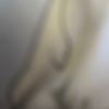 suprerb12