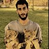 أبو الحارث الربيعي