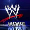💪wwe lover💪