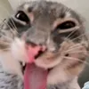 LwuFeng