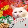 ng.van.phong_
