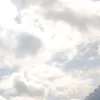 aylla_vgs