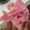 adnan_demir.meram