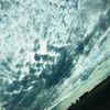 hello_peoples_155