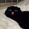ili