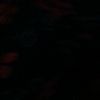 dn_t_fess7
