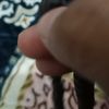 nurypalupi