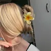 fiioscorner