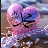 mohamed71040