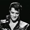 elvis_fan2