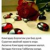 gulka726