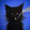 straycat201