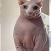 mmarmmion
