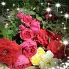 userhko7fsscrq