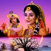 mukeshaheer5683
