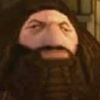 hagrid_for_ps2