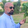 sardarshaikh39