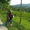 nengdinda063